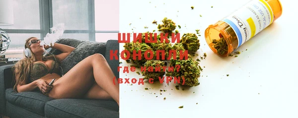 молекула духа Заводоуковск