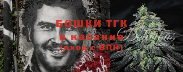 молекула духа Заводоуковск