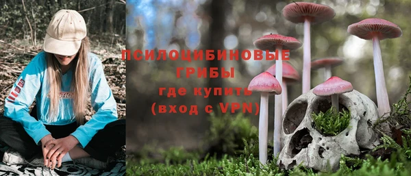 ГАЛЛЮЦИНОГЕННЫЕ ГРИБЫ Заволжск