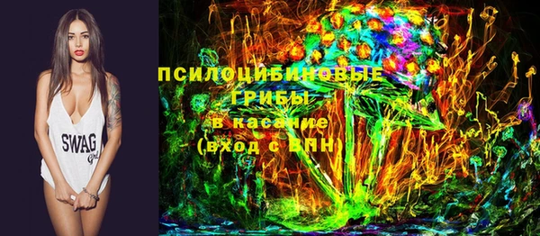молекула духа Заводоуковск