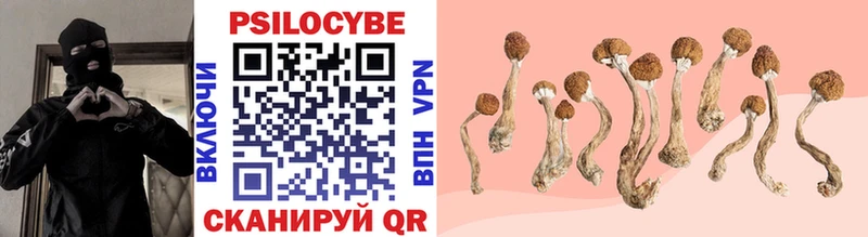 Галлюциногенные грибы MAGIC MUSHROOMS  Купить где  Печоры 